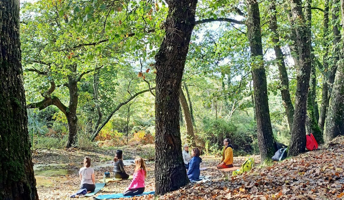 Forest Bathing Sardinia